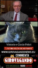 Vittorio e Ciccio Feltri