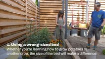 Raised Garden Bed Mistakes To Avoid