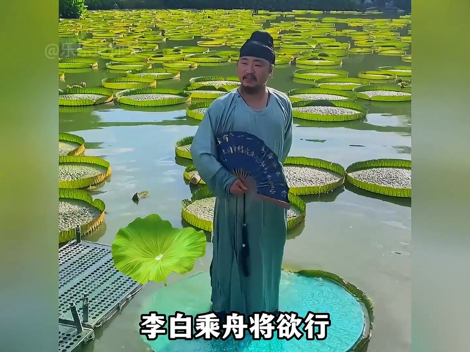 funny videos