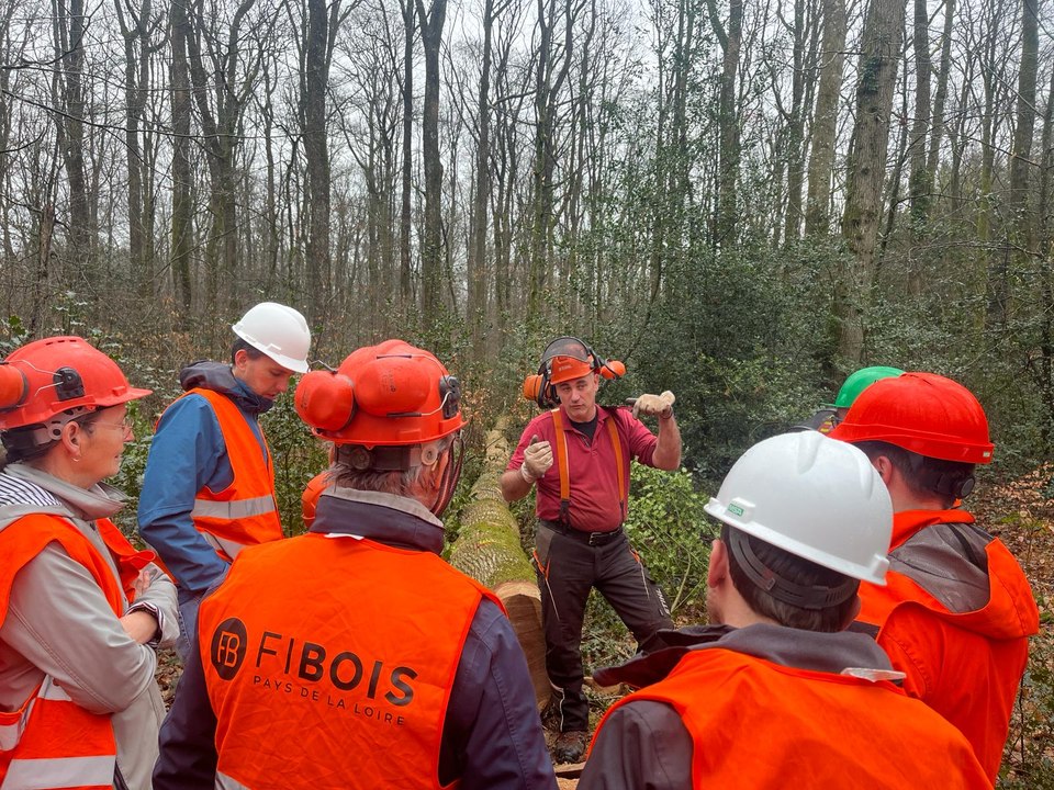 "Vis ma vie de bûcheron" en forêt de Bercé