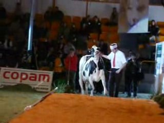 1 prix Tsigane 3eme lactation