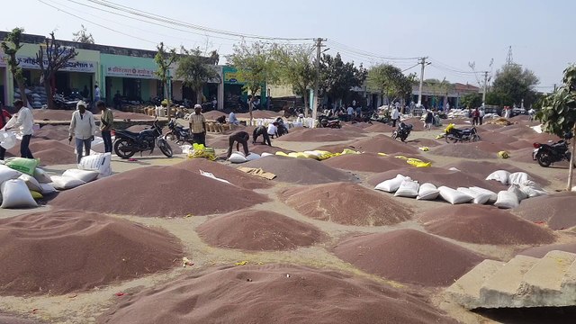 सरसों की आवक से मंडी गुलजार, किसान को समर्थन मूूल्य खरीद का इंतजार