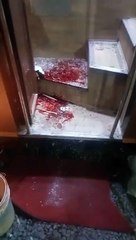 इंदौर से दिल्ली जा रही बस पर बरसाए पत्थर, तीन यात्री गंभीर घायल