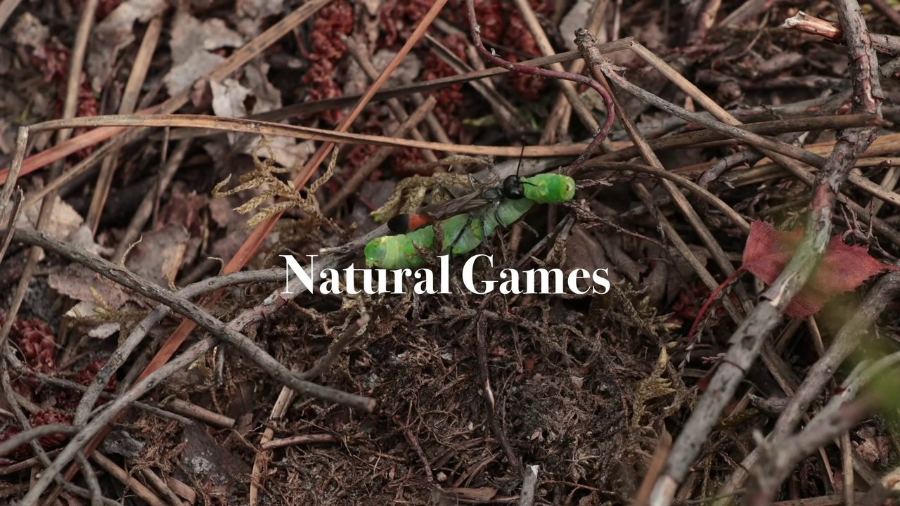 Natural Games