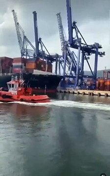 Une grue s'effondre dans un port après avoir été percutée par un cargo hors de contrôle