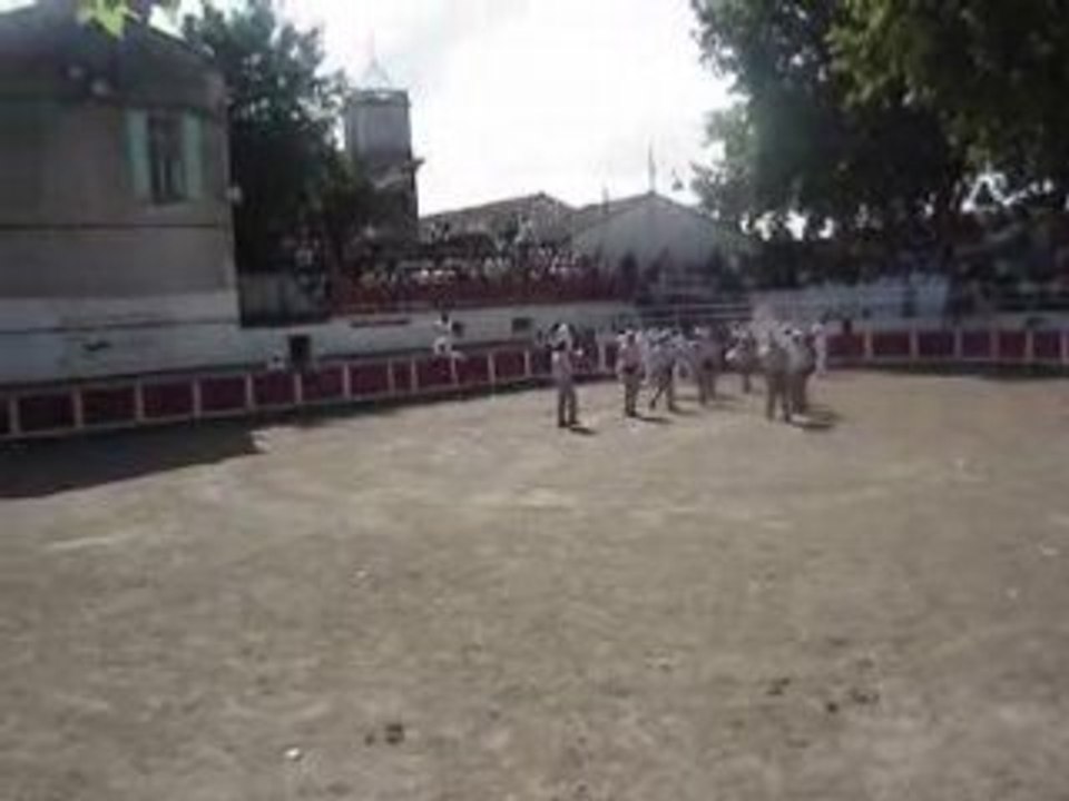 course camarguaise 15/08/07 suite