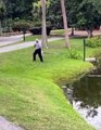 Man reels alligator out of a pond and gets chased