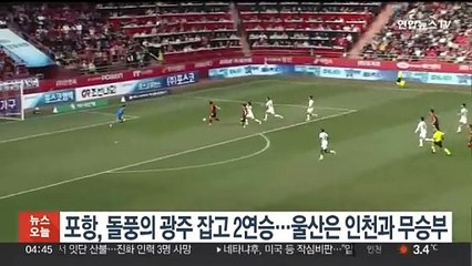 포항, 돌풍의 광주 잡고 2연승…울산은 인천과 무승부