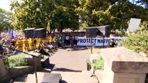 Hobart protest rally calls for end to native forest logging in Tasmania, as Liberals vow to increase timber harvest