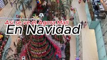 Navidad en Republica Dominicana