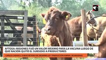 Aftosa: Misiones fijó un valor máximo para la vacuna luego de que Nación quitó el subsidio a productores