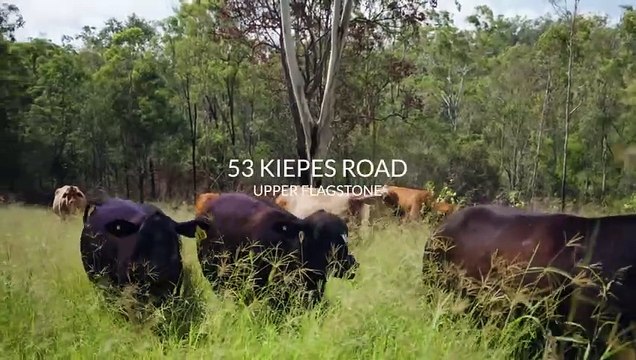Whopeminn, Flagstone Creek, Qld | March 18, 2024 | Farmonline