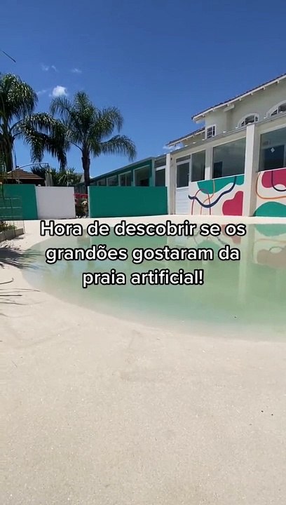 Hotel para cães em SC viraliza após criar primeira praia artificial para pets no Brasil
