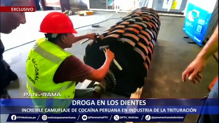 ¡Exclusivo! Droga en los dientes: Increíble camuflaje de cocaína peruana en industria de trituración
