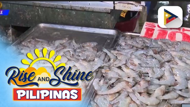 Publiko, pinaalalahanan vs. pagkain ng lamang-dagat sa ilang lugar sa Visayas at Mindanao dahil sa Red Tide
