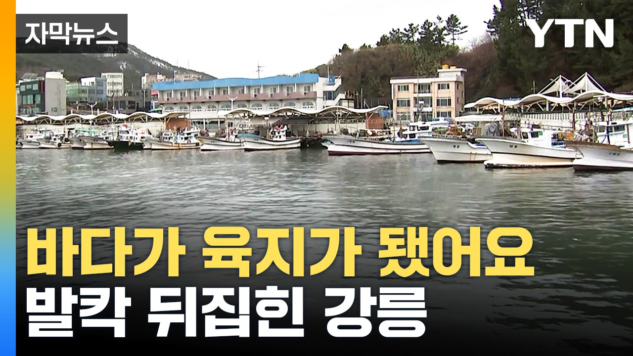 [자막뉴스] "사람이 걸어 다닐 수 있을 정도"...육지처럼 변한 강릉 안인항 / YTN