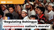 Regulating Rohingya undermines Malaysia’s human rights stance, says don