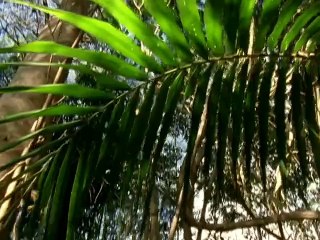 [S03.E01] The Lost World (En Español) - Out of the Blue