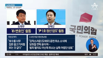 與, 도태우 이어 장예찬 ‘공천 취소’ 결단