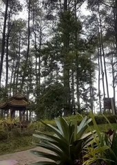 Come here and enjoy nature 