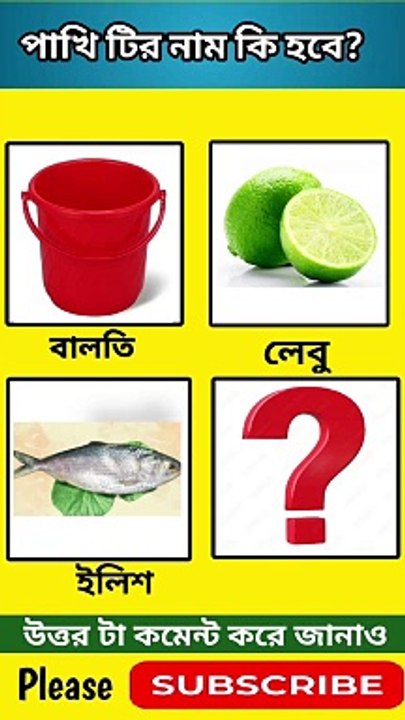 পাখি টির নাম কি হবে?/ ধাঁধা প্রশ্ন ও উত্তর / বাংলা ধাঁধা প্রশ্ন ও উত্তর /#dhadha @amr diary