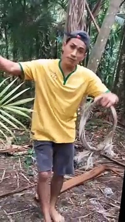 Tutorial