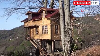 150 Yıllık Ağacın Gövdesine Ev Yapıldı