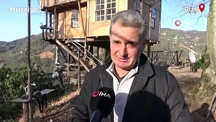 Görenler gözlerine inanamıyor! 150 yıllık ağacın gövdesine 2+1 ev yaptı