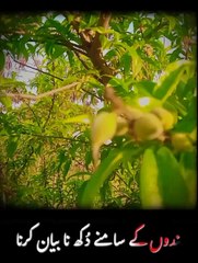 Ajmal Raza qadri new bayan new islamic video