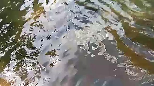 Nag mekus mekus ang mga insan ko