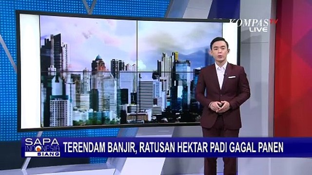 Gagal Panen Gara-Gara Sawah Terendam Banjir, Petani di Grobogan Merugi Rp2,8 M