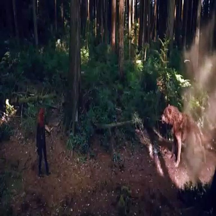 _HD