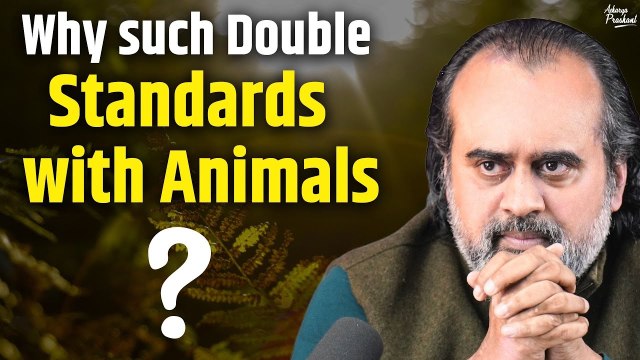 Why such Double Standards with Animals? || Acharya Prashant, with SPA Delhi (2023)