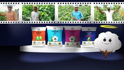 Shriram 321 B T Narma - Rajasthan's Super Cotton