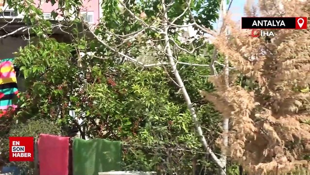 Antalya'da uyuduğunu düşündüğü babasının cansız bedenini buldu