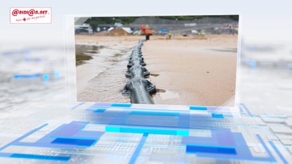 DANS L'ACTU-La connexion internet partiellement rétablie après la rupture de 4 câbles sous-marins