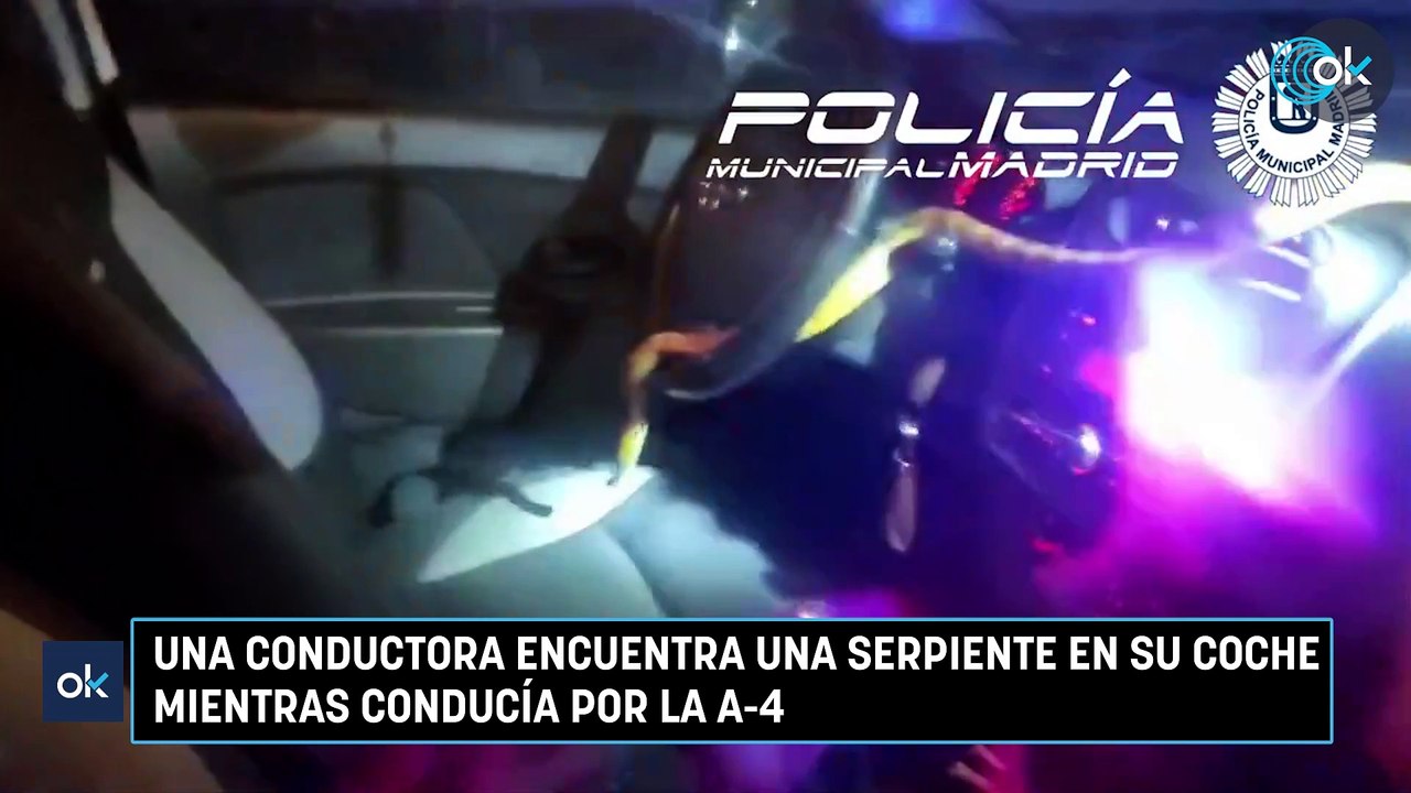 Una conductora encuentra una serpiente en su coche mientras conducía por la A-4