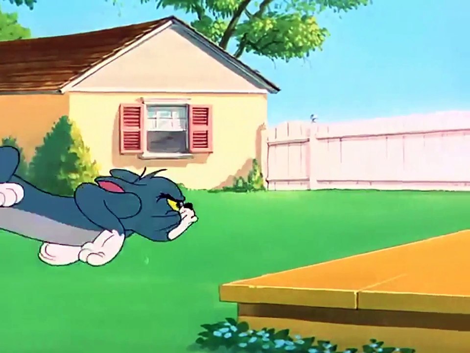 Tom And Jerry  - Slicked Up Pup