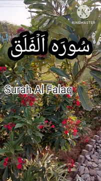 Surah falaq | Surat ul falaq | Tilawat quran pak Learn Quran