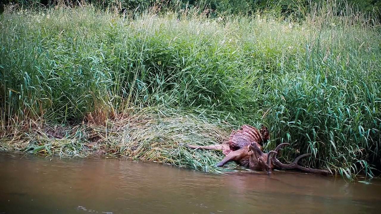 Im Land der Wölfe Trailer DF