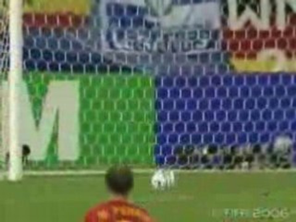 fernando torres vs tunisia