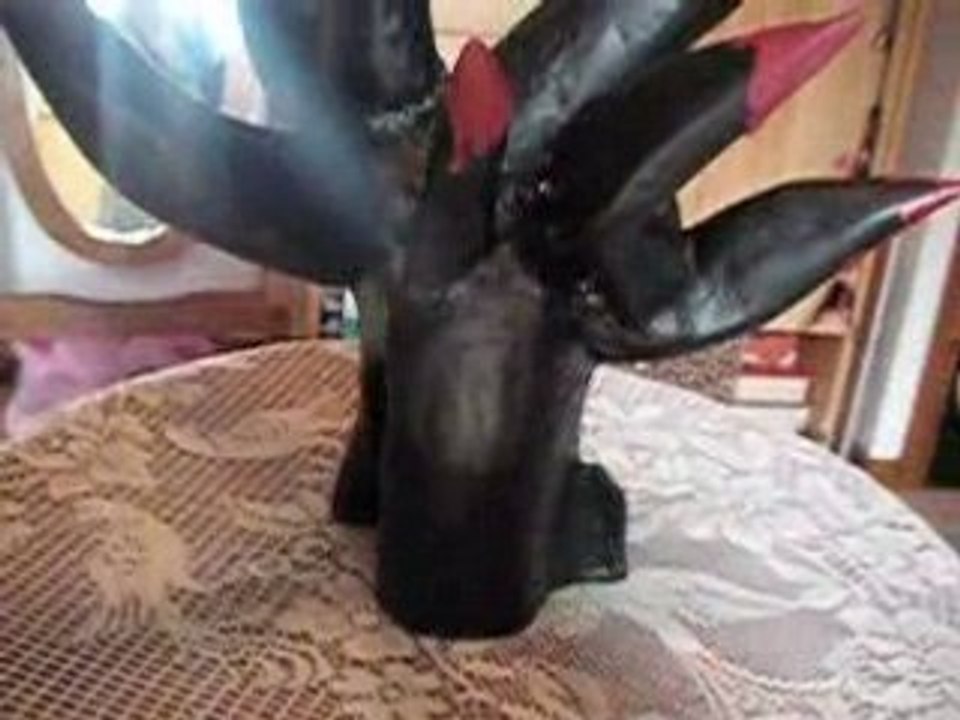 La Griffe Lagartocienne !!