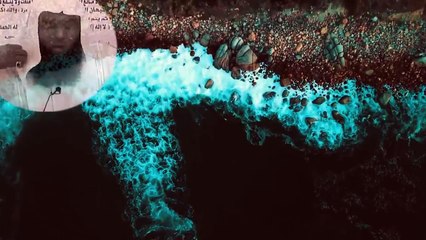 كلام أكثر من رائع عن الزواج # للشيخ بدر مشاري