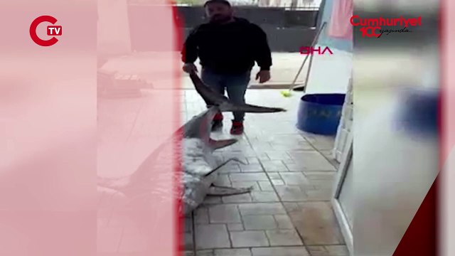 Adana'da balıkçılar 150 kiloluk kılıç balığı yakaladı: 3 metre boyunda