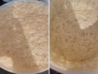 Un panettiere mostra il suo lievito madre che bolle: il video è ipnotico