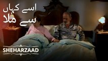 شیرزادے کے پاس ڈیڑھ لاکھ ڈالر کہاں سے آئے؟ | Sheharzaad - قسط نمبر 7