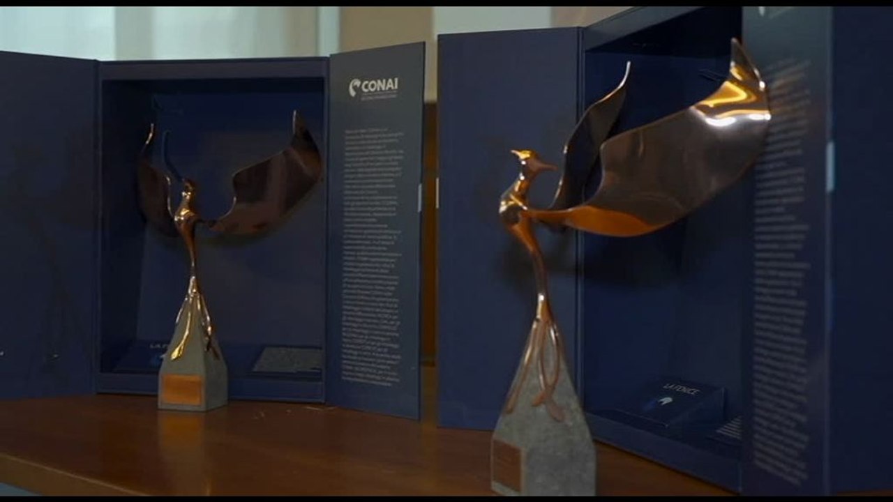 Riciclo imballaggi, via a terza edizione Premio Fenice Conai