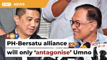 PH working with Bersatu will only ‘antagonise’ Umno, says analyst