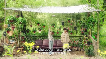 Don't Disturb Me Farming 07 Harvest a billionaire husband through farming! _ 别打扰我种田 _ ENG SUB