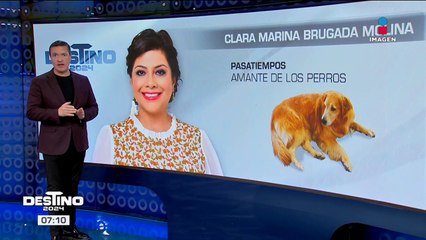 ¿Quiénes son los candidatos a la jefatura de Gobierno de la CDMX?